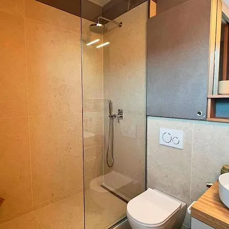 Spectacular Alpine Chamois