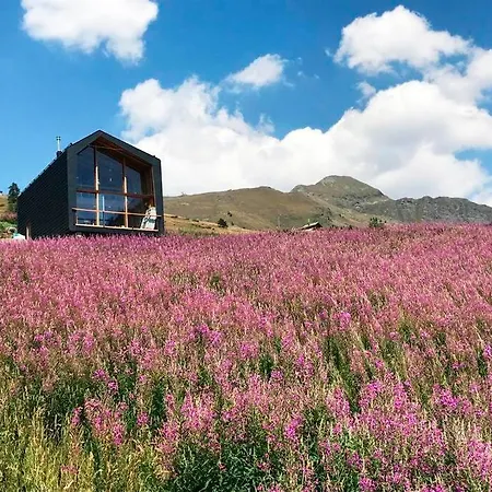 Spectacular Alpine * Chamois
