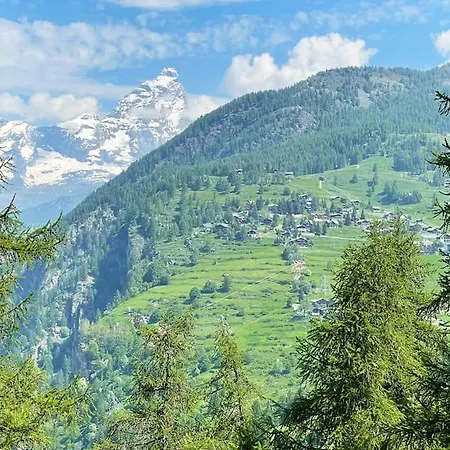 Spectacular Alpine *